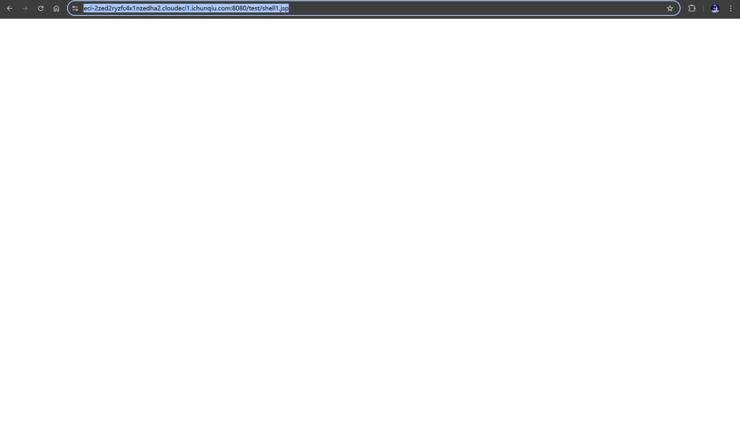 image-20260130230405541